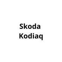 Защита двигателя Skoda Kodiaq