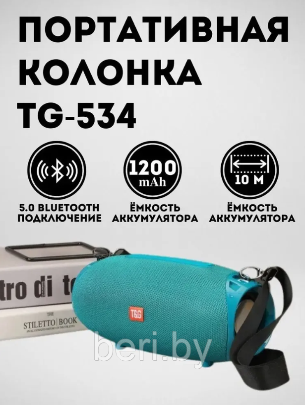 TG-534 Колонка музыкальная портативная Bluetooth T&G - фото 1 - id-p218609329