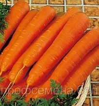 Морковь НИИОХ 336, семена, 2гр., (аэ)