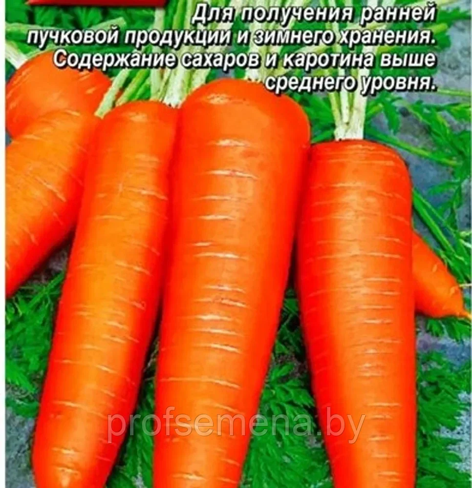 Морковь Рафинад, семена, 2гр., (аэ)
