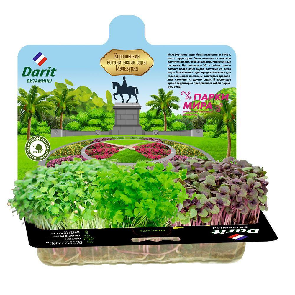 Набор для выращивания микрозелени Сельдерей+Базилик+Кориандр 3г Darit - фото 2 - id-p218317915
