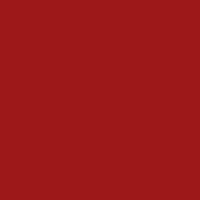 Бумага "Burano" формат А4 250 г/м2 Luce Indian Red (темный красный)