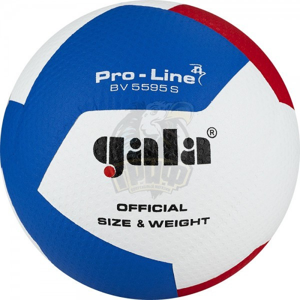 Мяч волейбольный матчевый Gala Pro-Line 12 (арт. BV5595SA) - фото 1 - id-p218624311