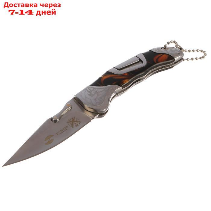Складной нож Stinger с клипом, 165 мм, рукоять: нержавеющая сталь, дерево, подарочный бокс - фото 1 - id-p218621376