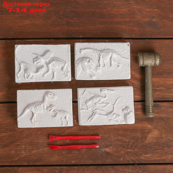Набор археолога серия из 4 брикетов "Динозавры" + молоток, долото - фото 2 - id-p218620350