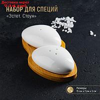 Набор для специй Доляна "Стоун", 2 шт: солонка и перечница, на подставке