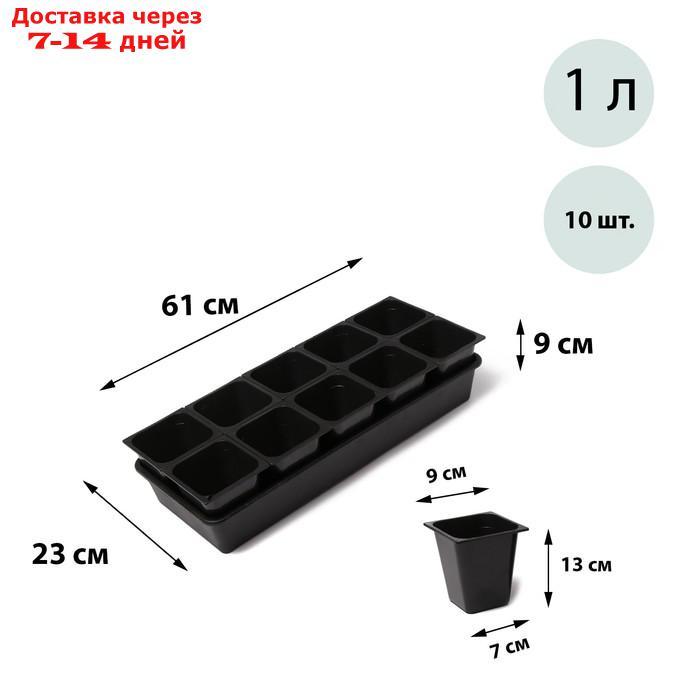Набор для рассады: стаканы по 1 л (10 шт.), поддон 51 × 21 см