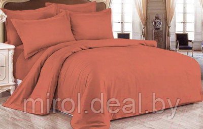 Комплект постельного белья LUXOR №16-1541 TPX 2.0 с европростыней - фото 1 - id-p218642348