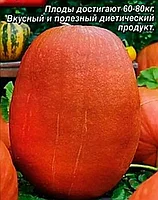 Тыква крупноплодная Сахарный гигант, 2 гр., семена, (аэ)