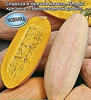 Тыква крупноплодная Розовая торпеда, семена, 1гр, (аэ)