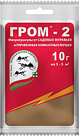 Гром 2 10г