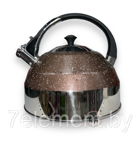 Чайник универсальный из нержавеющей стали SA-314 3 литра, чайник металлический со свистком коричневый - фото 1 - id-p218603344