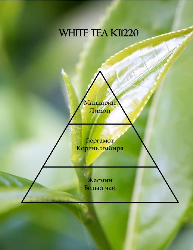 Отдушка КЕМА Белый чай 10гр (по мотивам Candle Science) - фото 1 - id-p206828312