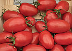 Выращивание вкусных томатов из семян
