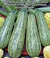 Кабачок цуккини Куанд, семена, 2гр, (аэ)