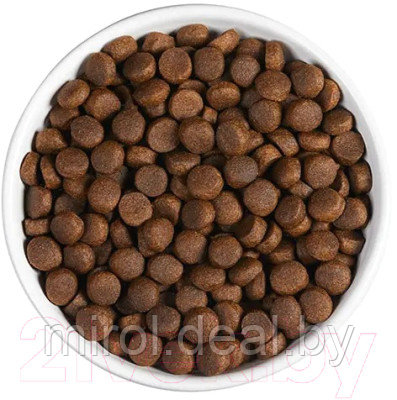 Сухой корм для собак Ambrosia Grain Free для всех пород говядина, лосось / U/ABS2 - фото 4 - id-p218797506