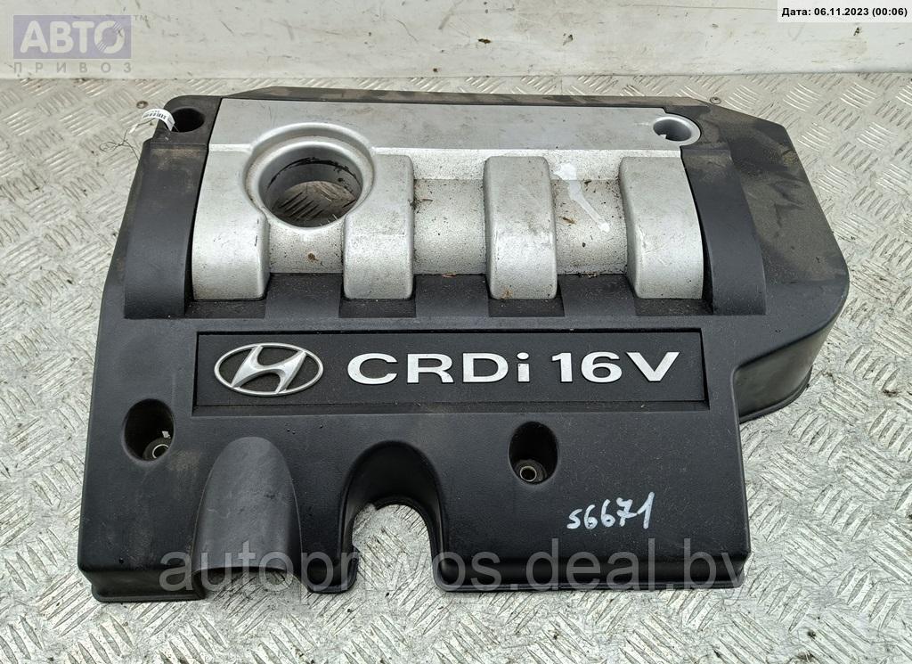 Накладка декоративная на двигатель Hyundai Trajet - фото 1 - id-p218805138