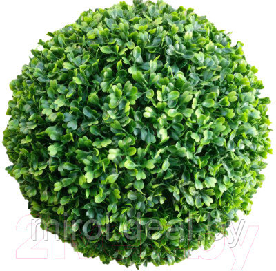 Искусственное растение ForGarden Самшит Green Pearl Grass Ball Dia / FGN BF01027 - фото 1 - id-p218882821