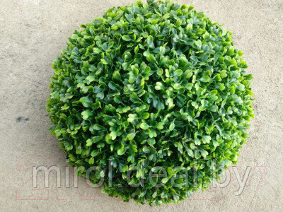 Искусственное растение ForGarden Самшит Green Pearl Grass Ball Dia / FGN BF01027 - фото 2 - id-p218882821