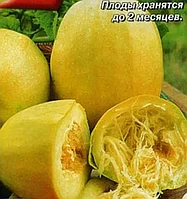 Тыква твёрдокорая Спагетти, семена, 1гр, (аэ)