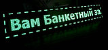 Сверхяркая Светодиодная LED табло Бегущая строка (Часы) Зеленая 320х160мм, фото 5