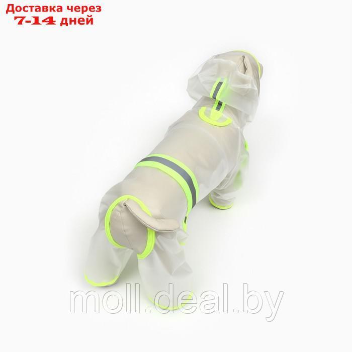 Дождевик-комбинезон для собак, размер S (ДС 25, ОГ 37 см, вес 3-5 кг), прозрачный-жёлтый - фото 5 - id-p217517136