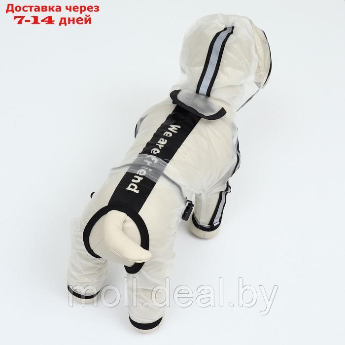 Дождевик-комбинезон для собак, размер S (ДС 26, ОГ 35, ОШ 26,5 см, вес 3-5 кг), прозрачный - фото 5 - id-p218977071