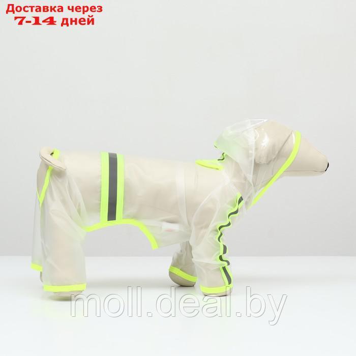 Дождевик-комбинезон для собак, размер L (ДС 35, ОГ 47 см, вес 8-11 кг), прозрачный-жёлтый - фото 4 - id-p218977072