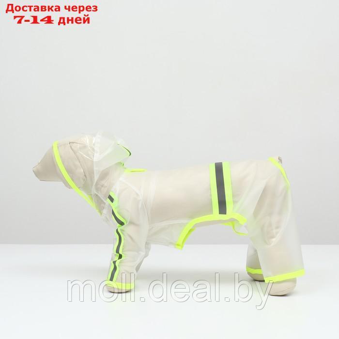 Дождевик-комбинезон для собак, размер L (ДС 35, ОГ 47 см, вес 8-11 кг), прозрачный-жёлтый - фото 6 - id-p218977072