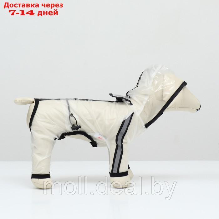 Дождевик-комбинезон для собак, размер ХL (ДС 38, ОГ 50, ОШ 41,5 см, вес 11-15 кг), прозрачный 9383 - фото 4 - id-p218977073