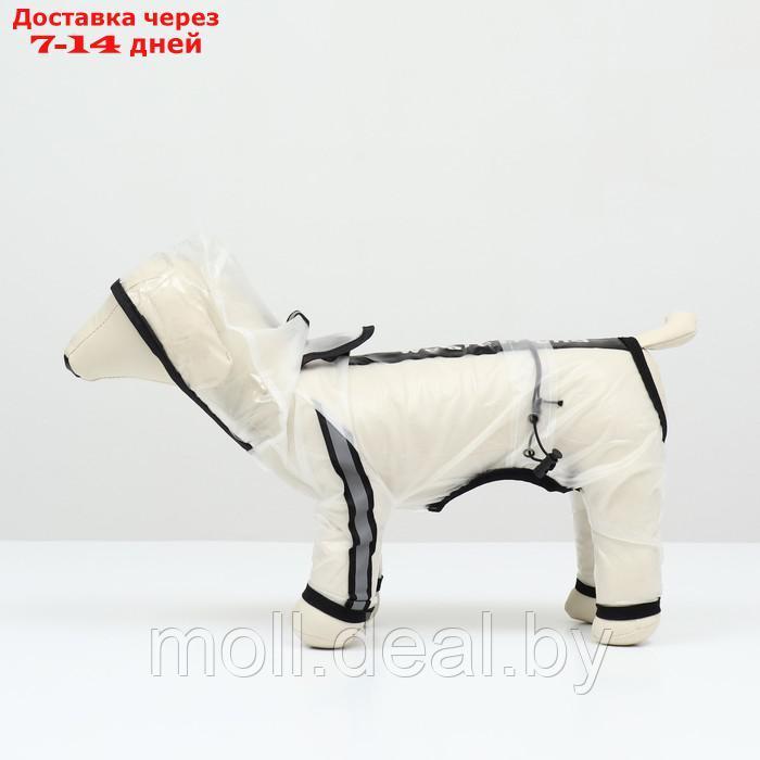 Дождевик-комбинезон для собак, размер M (ДС 30, ОГ 40, ОШ 31,5 см, вес 5-7 кг), прозрачный - фото 6 - id-p218977074