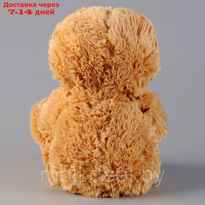 Мягкая игрушка "Ленивец", 25 см, цвет бежевый - фото 2 - id-p219012834