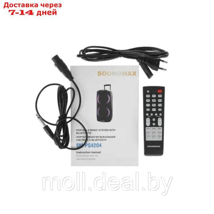 Портативная караоке система Soundmax SM-PS4204, 120 Вт, FM, AUX, USB, BT, SD, чёрная - фото 8 - id-p219014933