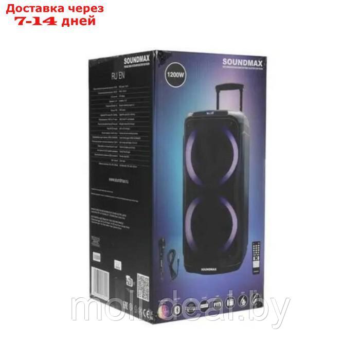 Портативная караоке система Soundmax SM-PS4204, 120 Вт, FM, AUX, USB, BT, SD, чёрная - фото 9 - id-p219014933