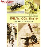 Пчёлы, осы, пауки и другие строители. Карцев В.