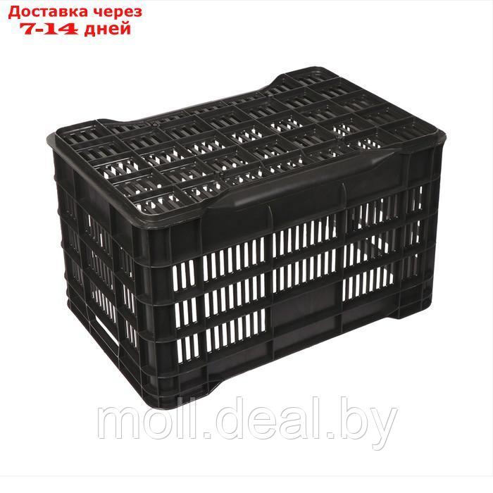 Ящик универсальный, пластиковый, 51 × 34 × 30 см, на 30 кг, чёрный - фото 4 - id-p218976598
