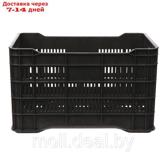 Ящик универсальный, пластиковый, 51 × 34 × 30 см, на 30 кг, чёрный - фото 5 - id-p218976598