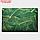 Набор салфеток сервировочных Доляна "Лаундж" 4 шт, 30х45 см, цвет зеленый, фото 4