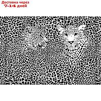 Фотообои "Черно-белые леопарды" M 704 (3 полотна), 300х200 см
