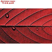 Фотообои "Красный лист" M 413 (4 полотна), 400х270 см