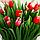 Бонсай в горшке "Тюльпаны и зелень" 9х18 см, фото 2