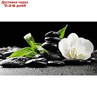 Фотообои "Орхидея и камни" 2-А-228 (1 полотно), 270x150 см