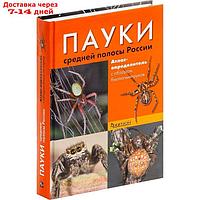 Пауки средней полосы России. Сейфулина Р., Карцев В.