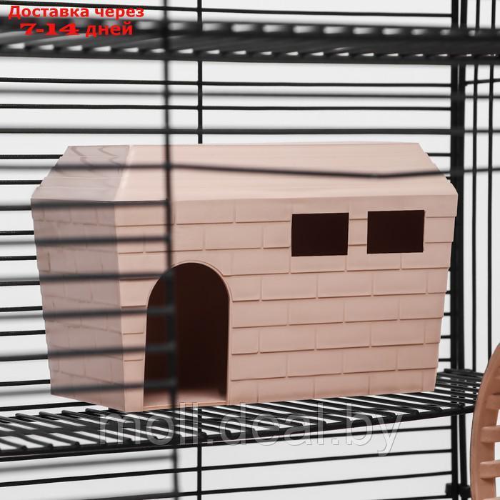 Клетка для грызунов "Пиожн" №11, 4 этажа, разборная, 42 х 30 х 65 см (+2 домика,2 колеса,миска), беж - фото 9 - id-p218976954