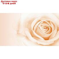 Фотообои "Нежная роза" 2-А-277 (1 полотно), 270x150 см