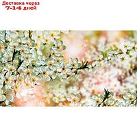 Фотообои "Цветение яблони" 2-А-290 (1 полотно), 270x150 см