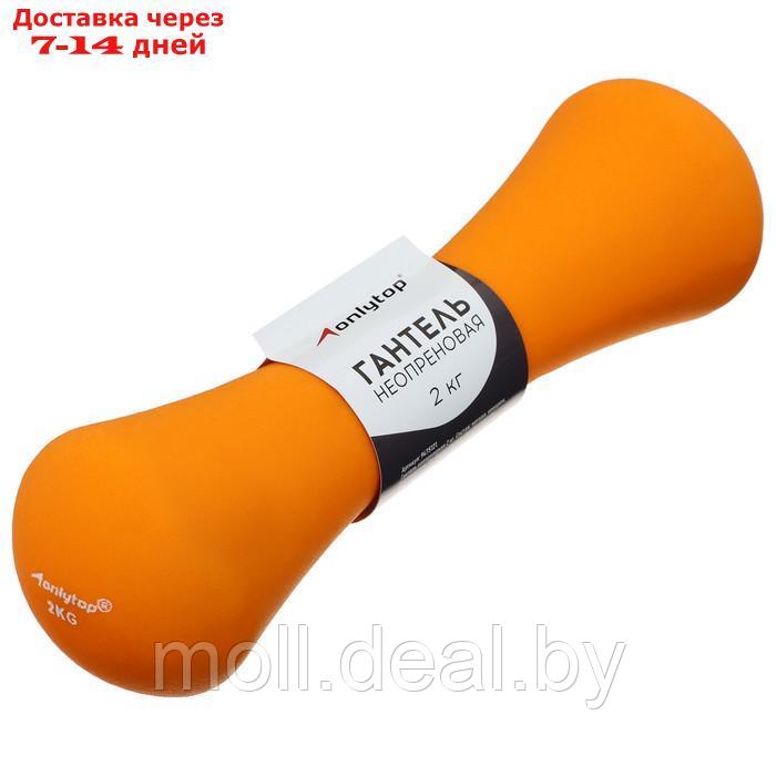 Гантель неопреновая ONLYTOP, 2 кг, цвет оранжевый - фото 1 - id-p219014537