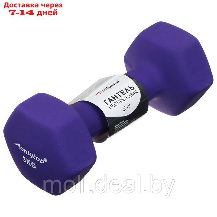 Гантель неопреновая ONLYTOP, 3 кг, цвет фиолетовый - фото 1 - id-p219014538