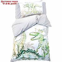 КПБ Этель 1,5 сп Dino world 143х215 см, 150х214 см, 50х70 см -1 шт, 100% хл, бязь