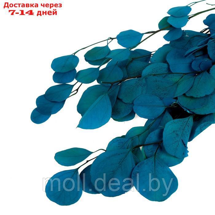 Сухоцвет персикого дерева , 50 гр, длина 70 см, цвет голубой - фото 3 - id-p219014647